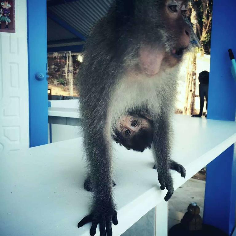 Koh Chang Gala Dış mekan fotoğraf